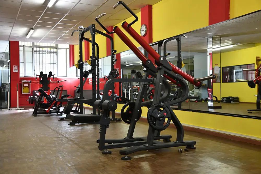 palestra-collegno-cibb-gym-12